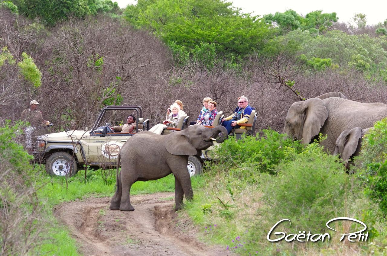 Thula Thula Exclusive Private Game Reserve & Lodge Ntambanana المظهر الخارجي الصورة