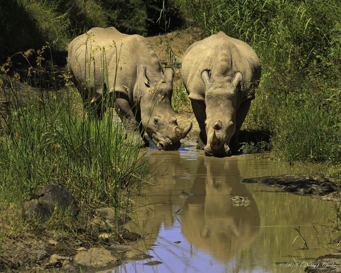 Thula Thula Exclusive Private Game Reserve & Lodge Ntambanana المظهر الخارجي الصورة