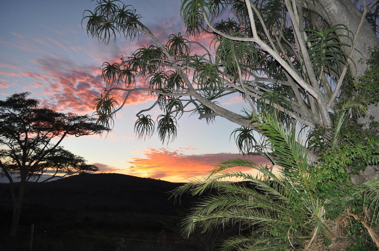 Thula Thula Exclusive Private Game Reserve & Lodge Ntambanana المظهر الخارجي الصورة
