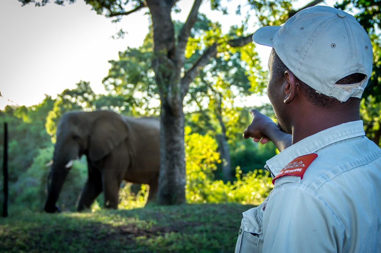 Thula Thula Exclusive Private Game Reserve & Lodge Ntambanana المظهر الخارجي الصورة