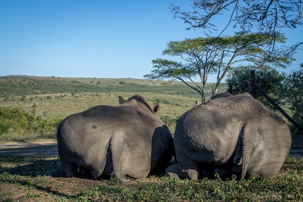 Thula Thula Exclusive Private Game Reserve & Lodge Ntambanana المظهر الخارجي الصورة