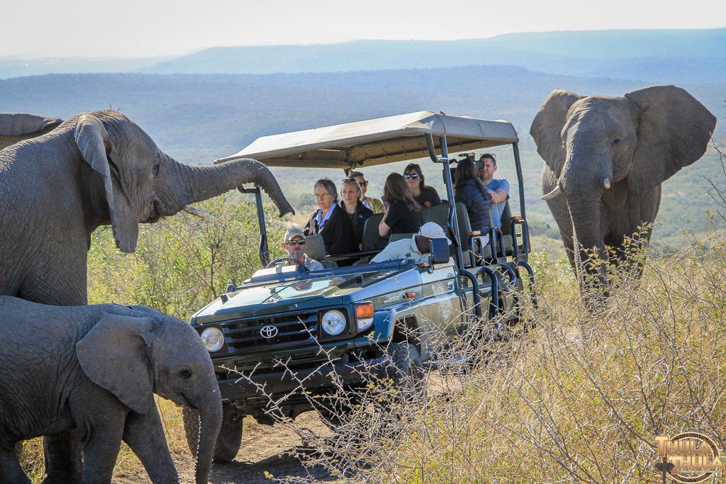 Thula Thula Exclusive Private Game Reserve & Lodge Ntambanana المظهر الخارجي الصورة